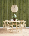 Papel Vinilizado Bamboo 3476/1 Zen Muresco Verde Dstock
