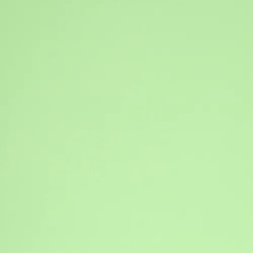 Papel Vinilico Verde Manzana Muresco Vanina Mizrahi 61/1