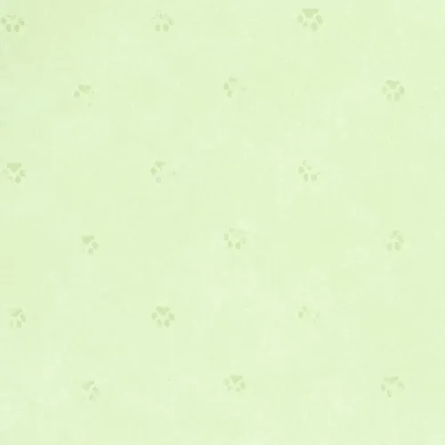 Papel Vinilizado F/ Verde C/ Huellas Cuentos Muresco 7801/3