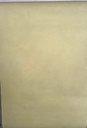 Papel Vinilizado Relieves 9601/6