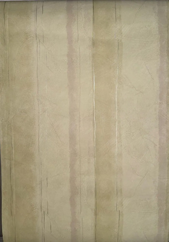 Papel Vinilizado Relieves 9604/4