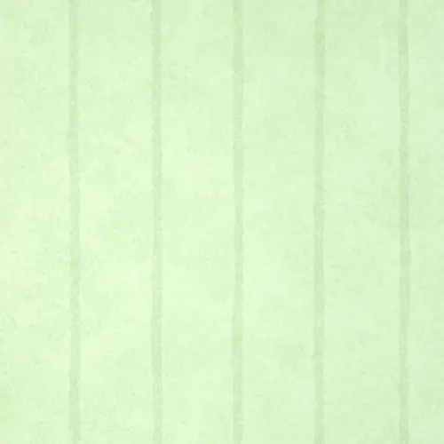 Papel Vinilico Texturado Rayado Verde 9918/5 Muresco Dstock