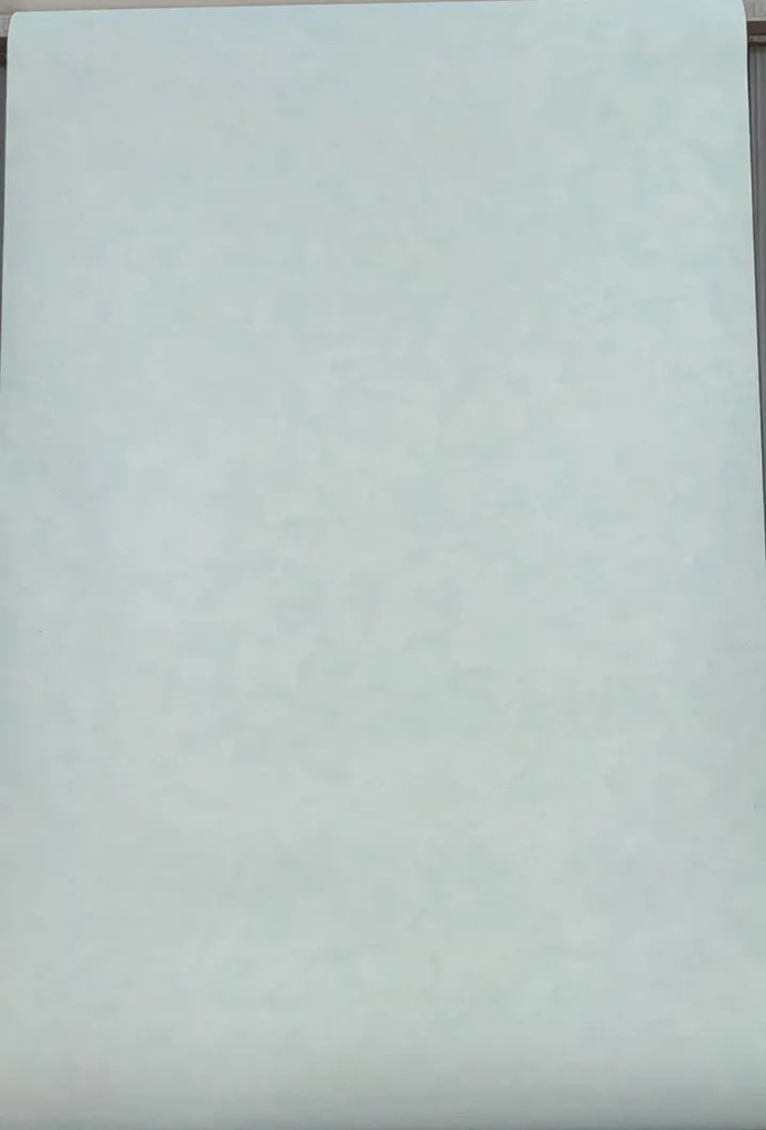 Papel Vinilico Patina Vinyl Paper Muresco 1905/3 Decostock Celeste Pastel