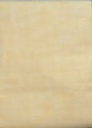 Papel Vinilico Texturado Disney 2020/2 Muresco Decostock Amarillo