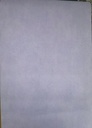 Papel Vinilico Texturado Muresco Cypress 4024/5 Decostock Celeste Lavanda