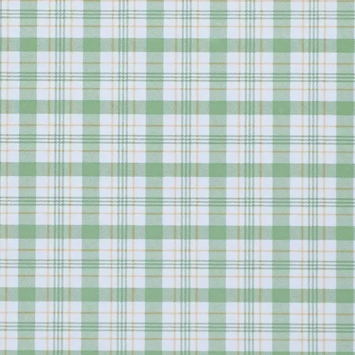 Papel Vinilizado Cuadrillé Verde Viva La Casa Muresco 185/1