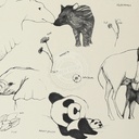 Papel Vinilico 2331/1 Picnic 2 Muresco Decostock